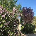 Le Baptistère - Adults Only Affittacamere 4*