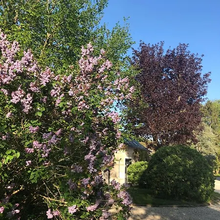 Le Baptistere - Adults Only Guest house *