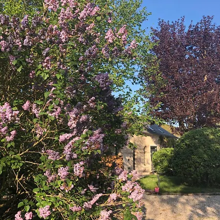 Le Baptistère - Adults Only Maison d'hôtes 4*