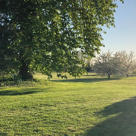 Maison d'hôtes Le Baptistère - Adults Only