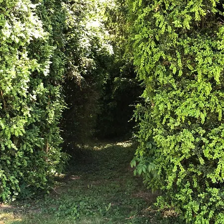 Le Baptistere - Adults Only Guest house