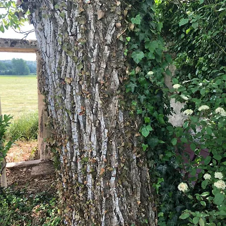 Le Baptistère - Adults Only 4* Attichy