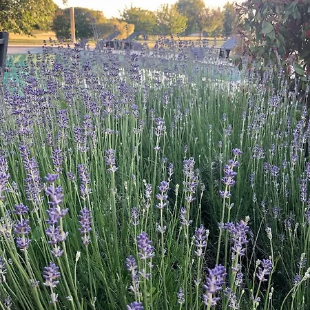 Le Baptistère - Adults Only Maison d'hôtes Attichy