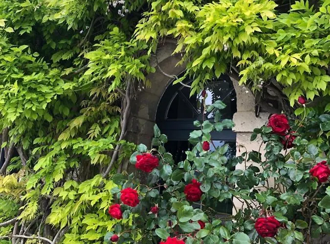 Le Baptistere - Adults Only 4* Attichy