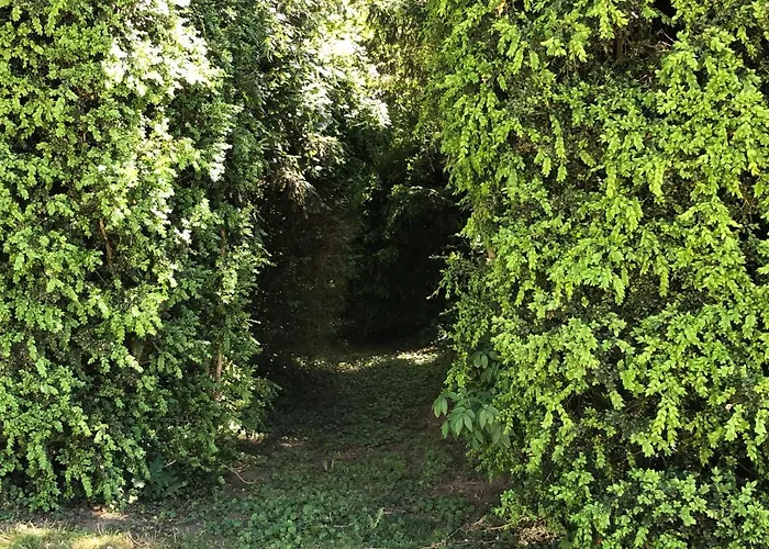 Le Baptistere - Adults Only Guest house