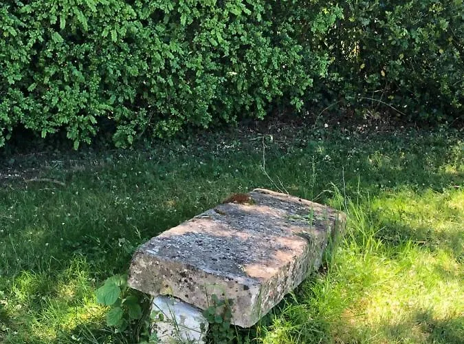 Guest house Le Baptistere - Adults Only