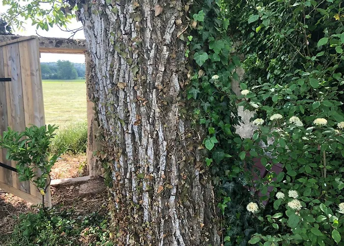 Le Baptistere - Adults Only 4* Attichy